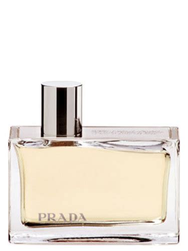 prada amber kadın|prada amber.